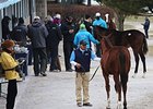 The Keeneland January Sale.