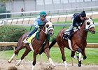 Mr. Z (outside) breezed five furlongs in 1:01 at Churchill Downs April 22.