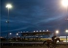 Woodbine EHV-1 Restrictions Lifted by ORC Woodbine EHV-1 Restrictions Lifted by ORC
