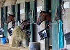 Gulfstream to Build More Temporary Stalls Gulfstream to Build More Temporary Stalls