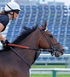Departing Sees Pimlico for First Time Departing Sees Pimlico for First Time