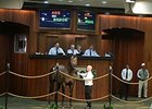 Hip 405, Euro Exchange, an unraced 3-year-old colt by Exchange Rate out of the Rahy mare Merciful, brought $90,000 to top the second and final day of Ocala Breeders' Sales Co.'s winter mixed sale Jan. 29.