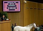 Egg Drop Sells for $1.9 Million at Keeneland Egg Drop Sells for $1.9 Million at Keeneland