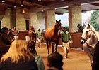 Pioneerof the Nile Colt Paces Keeneland Sale Pioneerof the Nile Colt Paces Keeneland Sale