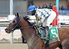 Salutos Amigos comes on late to win the Toboggan Stakes.<br><a target="blank" href="http://photos.bloodhorse.com/AtTheRaces-1/At-the-Races-2015/i-24NBwwR">Order This Photo</a>