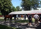The Fasig-Tipton Saratoga sale of selected yearlings.