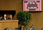Coolmore Buys Galileo Colt for $1.4 Million Coolmore Buys Galileo Colt for $1.4 Million