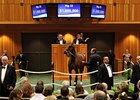 Leading Sire Averages for Saratoga Sale Leading Sire Averages for Saratoga Sale