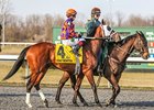 Fear the Kitten faces 10 in the Peter Pan Stakes.<br><a target="blank" href="http://photos.bloodhorse.com/AtTheRaces-1/at-the-races-2013/27257665_QgCqdh#!i=2484205379&k=8rwk3qT">Order This Photo</a>