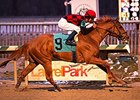 Majestic Affair, Lindisfarne Win at Laurel Majestic Affair, Lindisfarne Win at Laurel