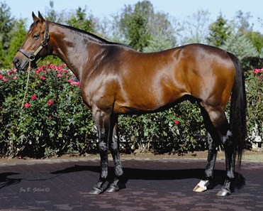 Gio Ponti