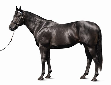 Denman