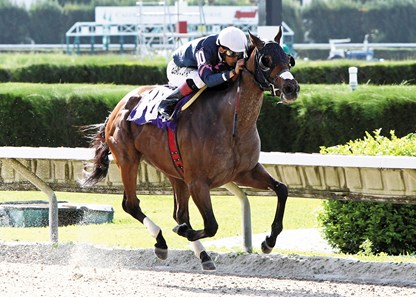 Starship Truffles takes off in the stretch to win the 2013 Grade I Princess Rooney Handicap at Calder Race Course.