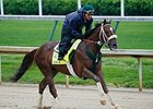 Kentucky Derby Notes, April 20 Kentucky Derby Notes, April 20
