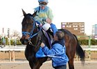 Davis Trains First Winner With Daughter Up Davis Trains First Winner With Daughter Up