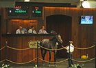 Hip No. 1002, a gray/roan colt by Street Sense topped the final session, bringing $425,000.