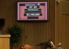 Love Me Only sold for $2.1 million at the 2011 Keeneland November breeding stock sale.