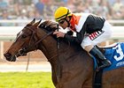 Diversy Harbor