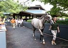Keeneland September Sale - Day 1 Wrap-Up Keeneland September Sale - Day 1 Wrap-Up