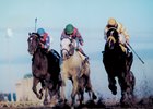 Alphabet Soup (middle) prevails over Louis Quatorze (right) and Cigar in 1996 Breeders' Cup Classic