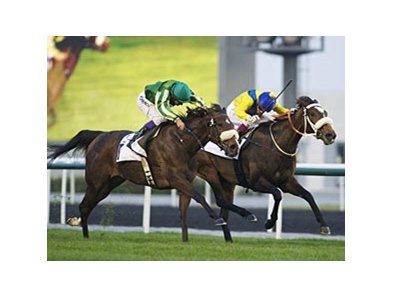 First City (left) defeated Mahbooba (right) by a nose in the Cape Verde Stakes.