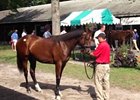 Fasig-Tipton Saratoga: Hip No. 34 Fasig-Tipton Saratoga: Hip No. 34