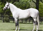 Mizzen Mast