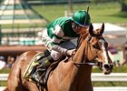 Stellar Wind returns to action in the Summertime Oaks at Santa Anita.