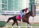 Casners Aim to Add Chapter to Dubai Success Casners Aim to Add Chapter to Dubai Success