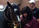Rachel Alexandra Shows Some Progress Rachel Alexandra Shows Some Progress