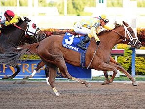 Champion Delightful Mary to Return in Hendrie Champion Delightful Mary to Return in Hendrie