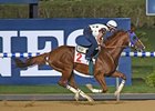 California Chrome
<br><a target="blank" href="http://photos.bloodhorse.com/AtTheRaces-1/At-the-Races-2015/i-KsN3LCd">Order This Photo</a>