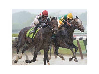 Souper Speedy (left) finished 2nd in the Jaipur, but was awarded the win via disqualification.<br><a target="blank" href="http://photos.bloodhorse.com/AtTheRaces-1/at-the-races-2013/27257665_QgCqdh#!i=2561221768&k=txVTdjBf">Order This Photo</a>