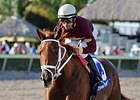 Sheer Drama and Joe Bravo take the Royal Delta Stakes at Gulfstream Park.<br><a target="blank" href="http://photos.bloodhorse.com/AtTheRaces-1/At-the-Races-2015/i-3cW987s">Order This Photo</a>