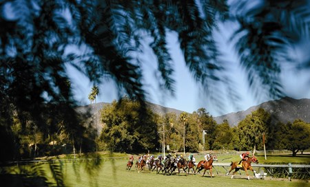 "Going Green" is a feature published in the March 8, 2014 issue of The Blood-Horse. The feature examines why turf sires may be making a comeback in North America.
The following images are a few of the sires mentioned in the feature.