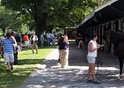 Fasig-Tipton Saratoga sale of select yearlings