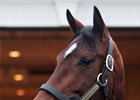 Point of Entry at Adena Springs Kentucky