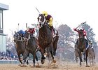 Golden Lad leads them home in the Essex Handicap at Oaklawn Park.