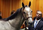 Fasig-Tipton The Saratoga Sale: Day 2 Wrap Fasig-Tipton The Saratoga Sale: Day 2 Wrap