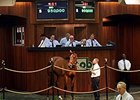 Hip 481, a Broken Vow colt, brought $950,000 at Ocala Breeders' Sales Co.'s March sale of 2-year-olds in training.