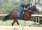 Untapable