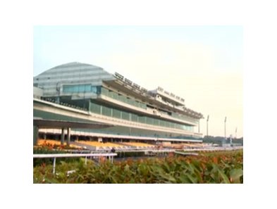 Kranji Race Track in Singapore.