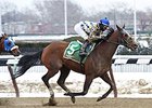 'Salutos,' Dads Caps Clash Again in Tom Fool 'Salutos,' Dads Caps Clash Again in Tom Fool