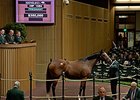 Hard Spun Mare Harriet Leading at Keeneland Hard Spun Mare Harriet Leading at Keeneland
