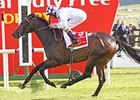 Trading Leather Wins Irish Derby; Ruler Flops Trading Leather Wins Irish Derby; Ruler Flops