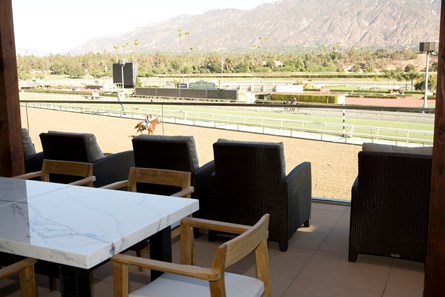 2013 Renovations to Santa Anita Park in California just in time for Breeders' Cup