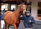 Up brought $2.2 million to lead the second session of Keeneland's January horses of all ages sale.