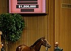 Hip 19, a filly by Medaglia d'Oro out of Flying Passage, sold for $1.5 million.