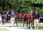 Average Up at Fasig-Tipton Kentucky July Average Up at Fasig-Tipton Kentucky July
