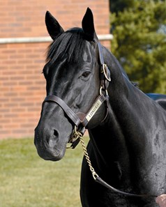 Lonhro